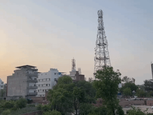 हिसार में दिन और रात का तापमान सामान्य बना हुआ है। - Dainik Bhaskar