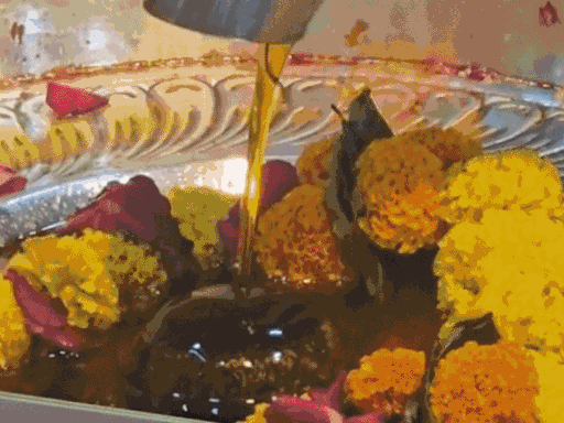 प्रशासन इस तेल को किसानों को बेचने की तैयारी कर रहा है।