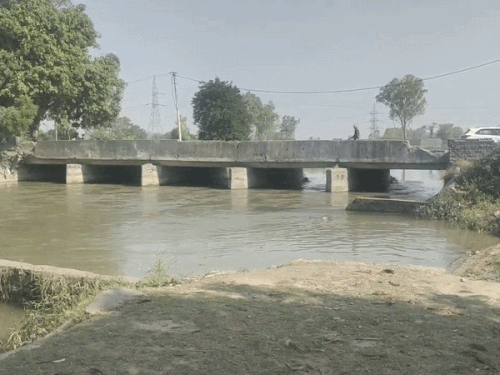 इसी नहर में दोनों ने हाथ पकड़ कर छलांग लगाई।
