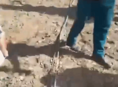 खेतों में टूटकर पड़ी बिजली की तार। लैंडिंग के दौरान हेलिकॉप्टर का पिछला हिस्सा इसी में फंस गया था।