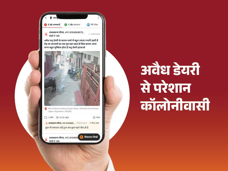 कॉलोनी में अवैध डेयरी के पशुओं से गंदगी और जाम की समस्या।