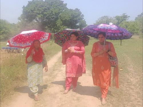 हमीरपूरच्या बडसरमध्ये उन्हापासून वाचण्यासाठी छत्री घेऊन चालणाऱ्या महिला.