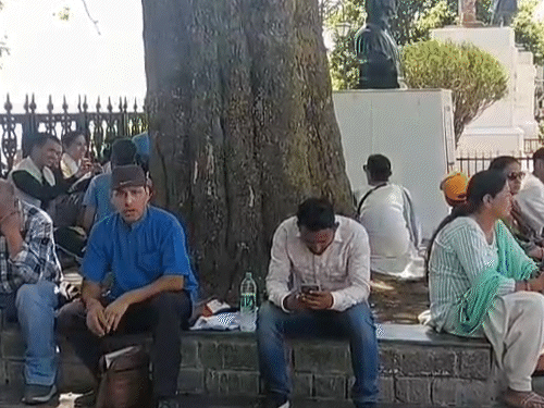 रिजवर उन्हापासून वाचण्यासाठी झाडाखाली बसलेले लोक.