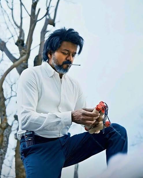 फिल्मों में विजय का किरदार अक्सर ऐसा इंसान होता है जो अन्याय, राजनीति या बड़े लोगों के खिलाफ खड़ा होता है।