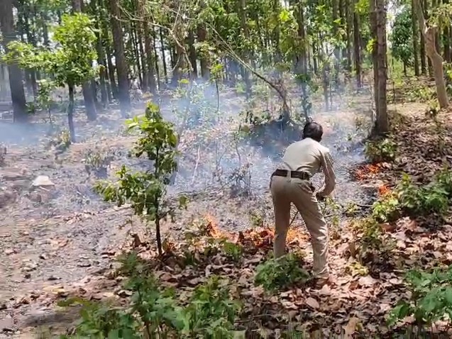 वनकर्मी आग बुझाते हुए दिखे