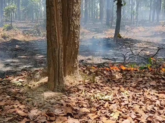 समय रहते आग बुझा ली गई जिस से बड़ा नुकसान होने से बच गया