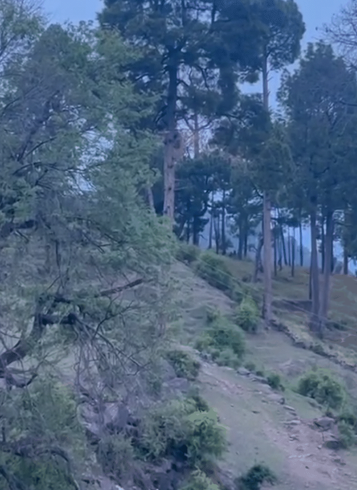पुंछ के गगरिया और कुंडे नाला इलाके की तस्वीर है, जहां से संदिग्ध आतंकियों के घुसपैठ की आशंका जताई जा रही है।