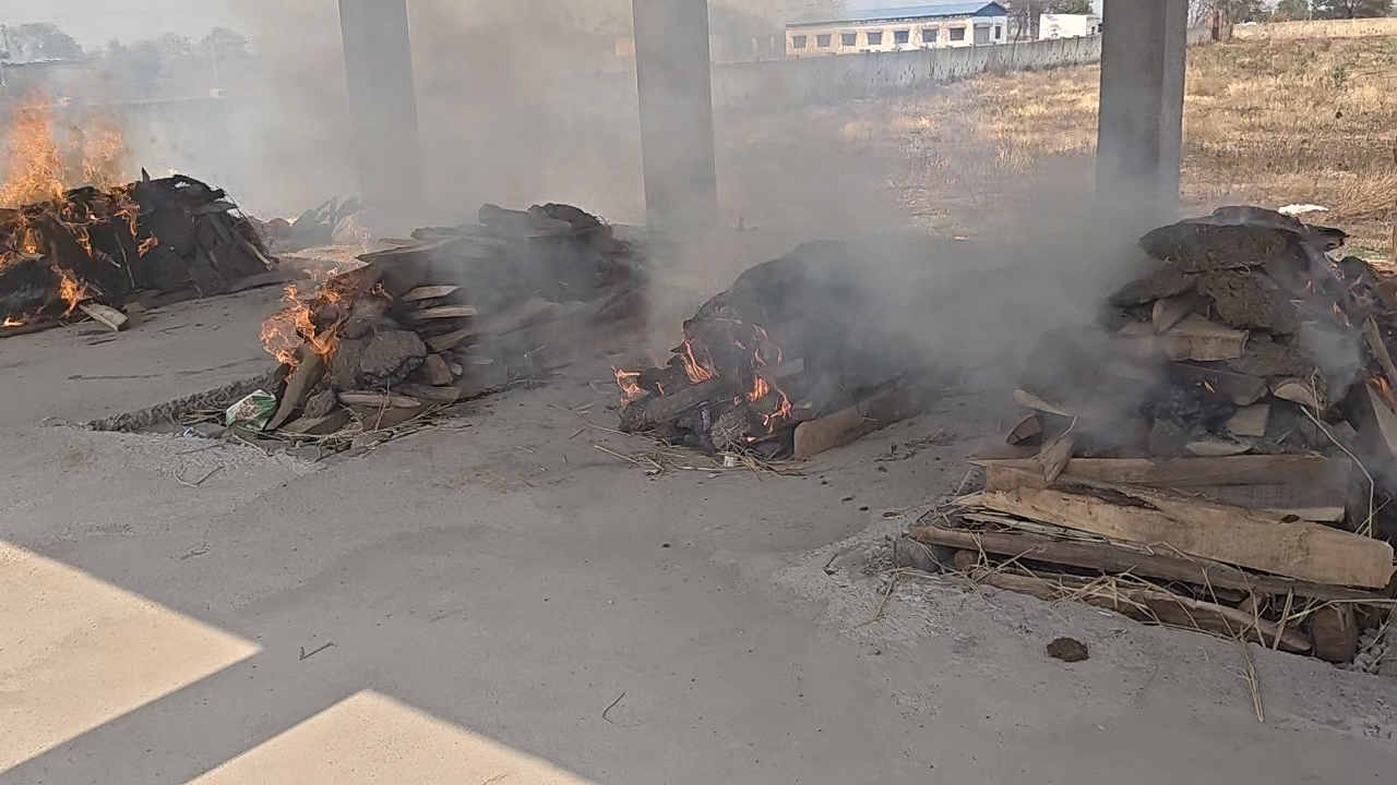 एक साथ जली थी चार चीताएं।