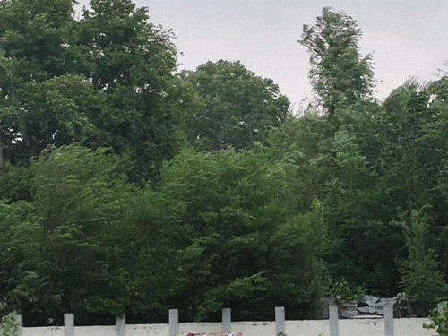 जम्मू-कश्मीर के बारामूला में शुक्रवार सुबह तेज आंधी चली और बारिश हुई।
