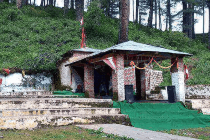 भविष्य बद्री,चमोली में स्थित है।