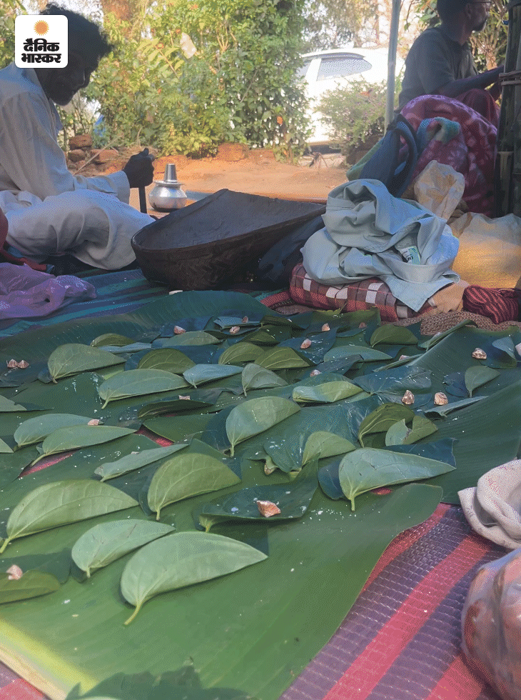 मेहमानों के लिए पान के पत्तों पर सजाई जा रही सुपारी।