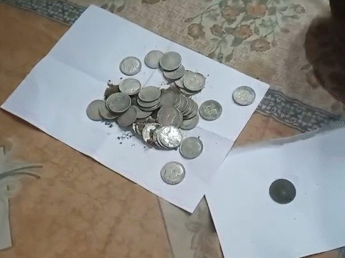 खुदाई करने पर मिट्टी से कई चांदी के सिक्के और कुछ चांदी की छड़ें निकलीं।