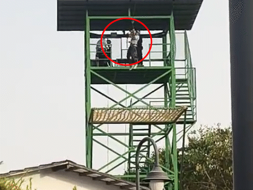 बच्चा पहले लोहे की जाली से टकराया, फिर सीधे जमीन पर आ गिरा। उसकी मौके पर ही मौत हो गई।