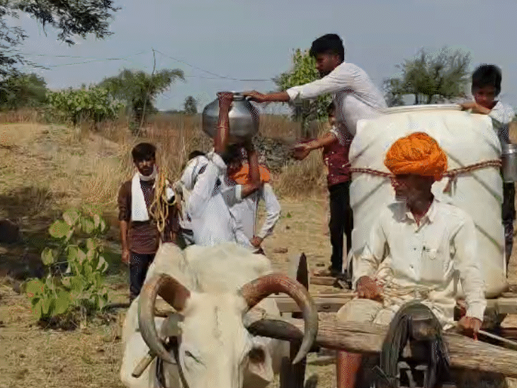 वे बैलगाड़ी पर टंकियों में पानी भरकर गांव तक ले जाते हैं।
