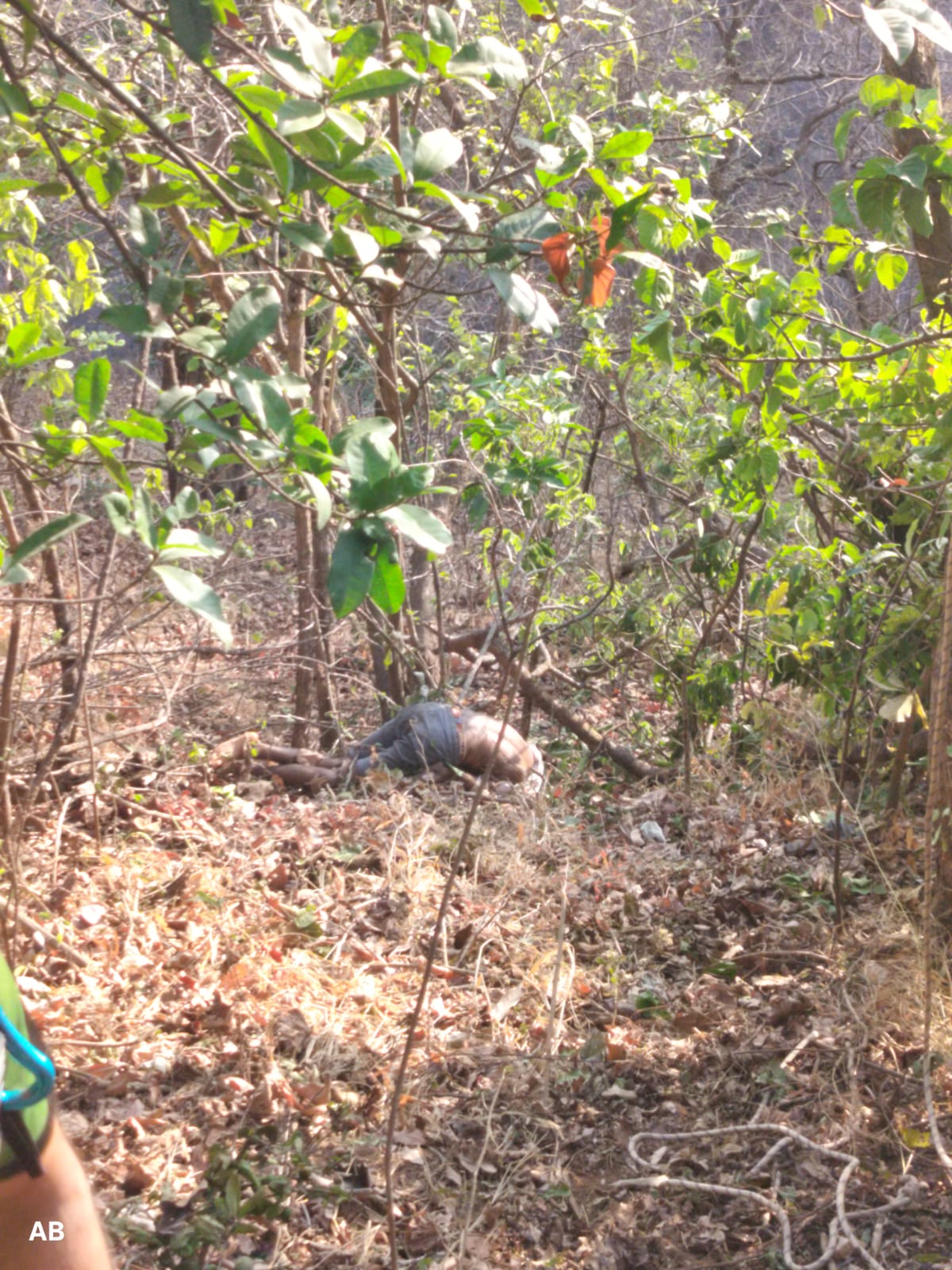 महाराष्ट्र के रायगड में अंबेनली घाट की खाई में SUV गिरी थी। जंगल में पड़ा शव।