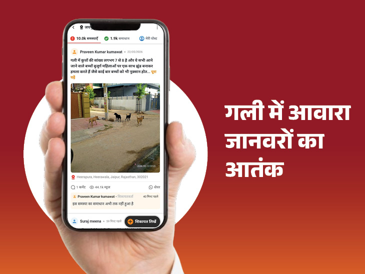 बेसहारा पशुओं और कुत्तों के हमले से बच्डों-बुजुर्गों में डर बना हुआ है