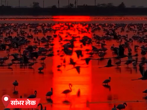 कल से बारिश का अलर्ट, पारा फिर 47 डिग्री:  आज 5 जिलों में हीटवेव की चेतावनी, श्रीगंगानगर सबसे गर्म – Jaipur News
