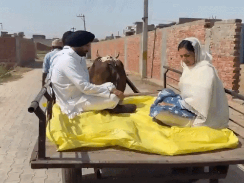 पंजाब कांग्रेस के प्रधान व सांसद अमरिंदर राजा वड़िंग पत्नी अमृता वड़िंग के साथ बैलगाड़ी पर वोट डालने पहुंचे। इसके जरिए उन्होंने पेट्रोल-डीजल के बढ़े रेट का विरोध किया।