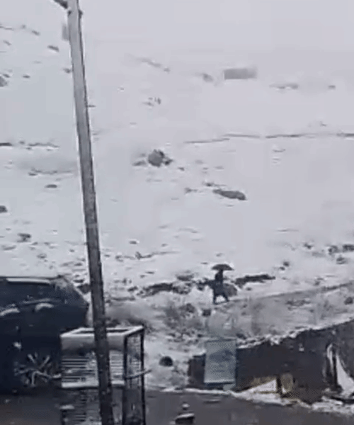 पिथौरागढ़ में नाभीढांग की ऊंची चोटियों पर बर्फबारी हुई।