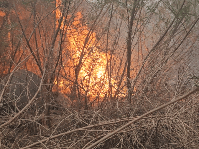 Bharatpur GSS Fire | Nefed Warehouse Blaze; Short Circuit Suspected