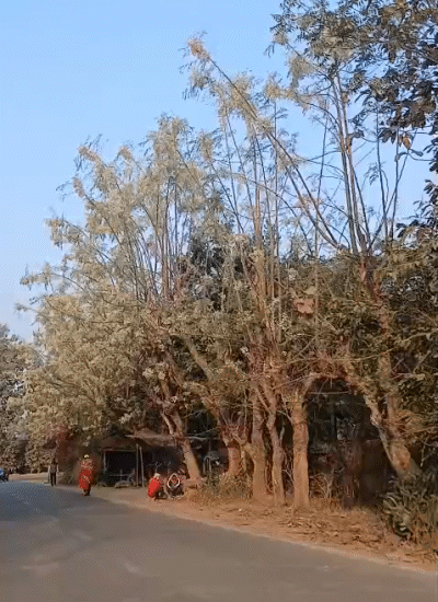 रांची और आसपास के क्षेत्रों में अधिकतम तापमान करीब 39°C और न्यूनतम 26°C रहने का अनुमान है।