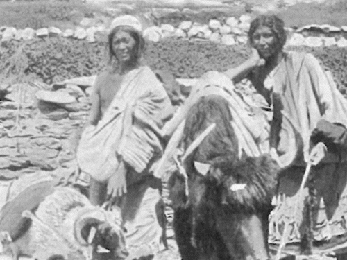 भौटिया या रं समुदाय के पुरुष तिब्बत से व्यापर के लिए पहले साल में दो बार यात्रा करते थे जबकि महिलाएं घरों में रहकर ऊनी वस्त्र बनाती थीं।
