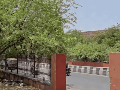 आगरा किला के सामने झाड़ियों में लगी आग।