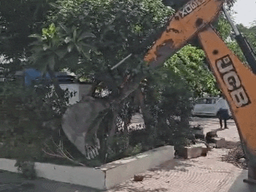 कांग्रेस नेता के अवैध कब्जे को हटाती जेसीबी।