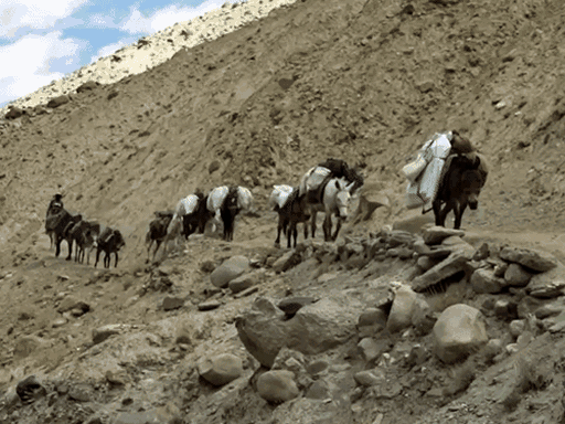 उत्तराखंड में सिर्फ भोटिया समाज ही तिब्बत से व्यापार करता था, कई इतिहासकार मानते हैं कि भोटिया किसी दूसरे समाज को इस रूट पर व्यापार नहीं करने देते थे।