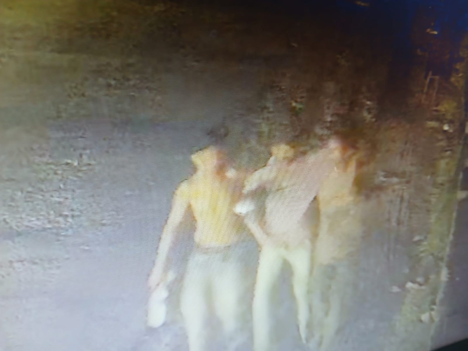 पुलिस को सीसीटीवी फुटेज मिला, जिसमें दो युवक एक युवक को कंधे का सहारा देकर ले जाते दिखे। इससे ही दोनों आरोपी पकड़े गए।