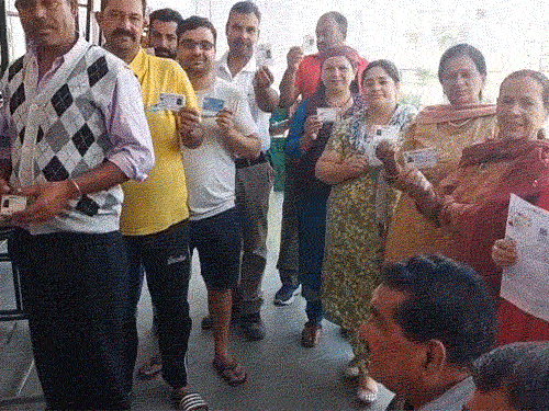 मंडी की ममेल पंचायत में वोट देने को लगी लंबी लाइन।
