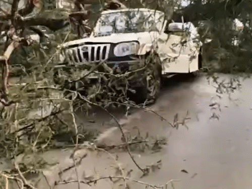 छत्तीसगढ़ के रायगढ़ में तेज आंधी के कारण एक पेड़ उखड़कर कार पर गिरा।