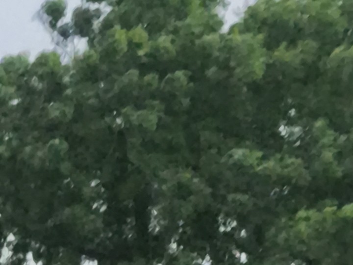 Mathura Weather Relief | Heatwave Ends With Rain, Hailstorm