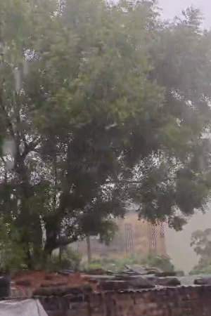 छपरा में भी तेज आंधी के साथ बारिश हुई है।