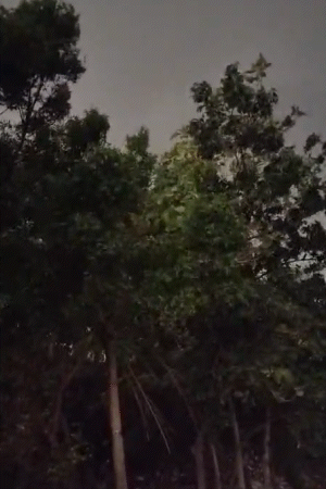 बक्सर में बारिश से पहले तेज आंधी चली।