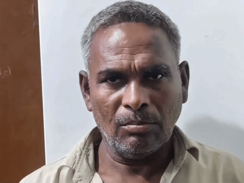 UP STF ने पकड़ा, 20 लाख रुपए कीमत; नेपाल से UP में करता था सप्लाई|गोरखपुर,Gorakhpur - Dainik Bhaskar