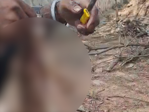 दो युवकों ने हमारे सामने ही 2 शिकार किए हुए खरगोश निकाले और खाल उतारने लगे।