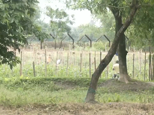 पश्चिम बंगाल के सिलिगुड़ी में बांग्लादेश बॉर्डर से सटे गांव में फेंसिंग लगना शुरू हो गया है।