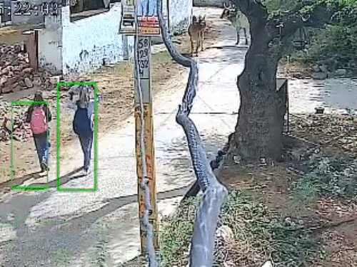 ANM अपनी चचेरी बहन के साथ बस स्टैंड से पैदल अपने घर जा रही थी।