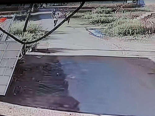 हादसे के बाद छात्र को छोड़कर भागते आरोपी सीसीटीवी कैमरे में कैद हो गए।