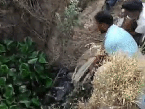 बठिंडा में ड्रेन से युवक की बाइक को निकालते हुए लोग। - Dainik Bhaskar