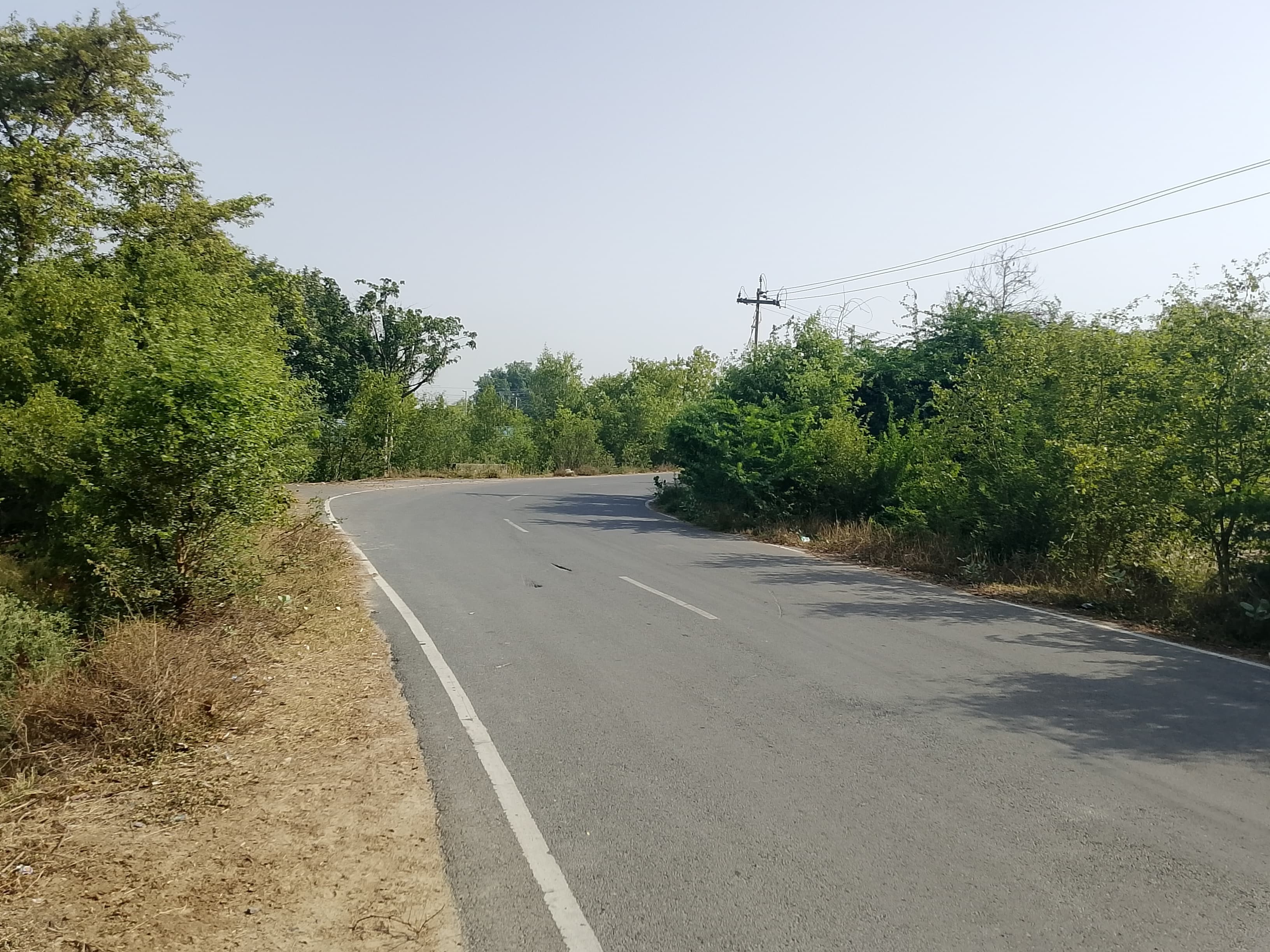 Devipur Devipur-Chandpur Road Danger | Kanpur Rural Bushes Demand Cut