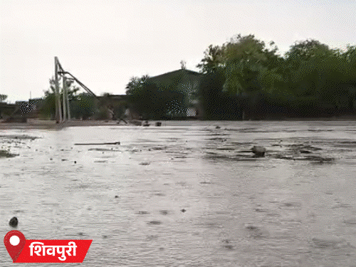 शिवपुरी, टीकमगढ़ और गुना में सोमवार को बारिश हुई। - Dainik Bhaskar