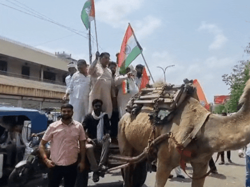 कांग्रेस पार्टी के पदाधिकारी और कार्यकर्ता ऊंट लेकर सीकर के कलेक्ट्रेट परिसर के बाहर पहुंचे।