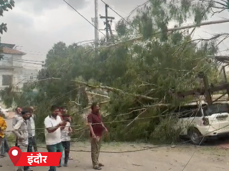 MP के इंदौर में आंधी के कारण सड़कों पर कई पेड़ गिर गए। कई वाहन पेड़ के नीचे दब गए।