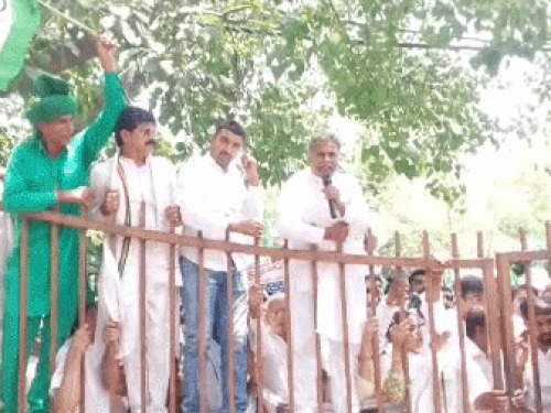डीसी ऑफिस के गेट पर चढ़े हुए इनेलो कार्यकर्ता।
