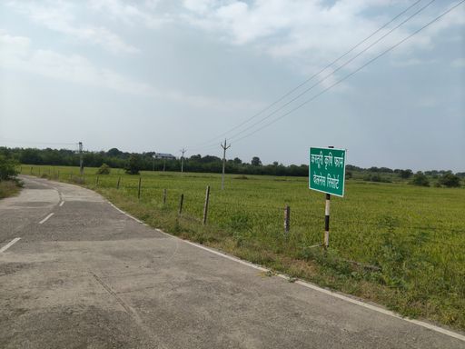 पीडब्ल्यूडी ने मेहरा के खेत तक आरसीसी सड़क बनाई है