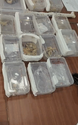 पुलिस ने अभिषेक के दोस्त सनी गुप्ता की दुकान से लूटे गए सभी जेवर बरामद कर लिए हैं।