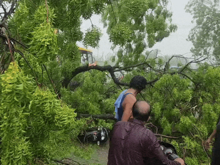एमपी के श्योपुर में बुधवार दोपहर धूलभरी आंधी के साथ जोरदार बारिश हुई।
