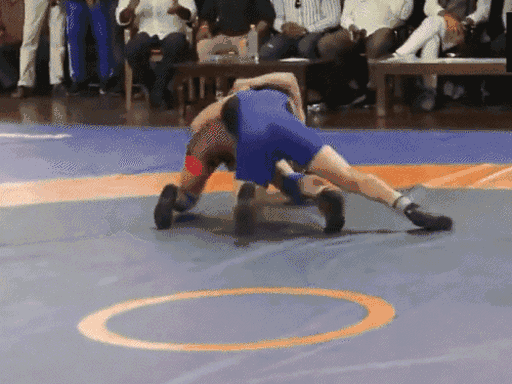Vinesh (in red wrestling attire) lost to Meenakshi Goyat of Jind in the trial. File photo.